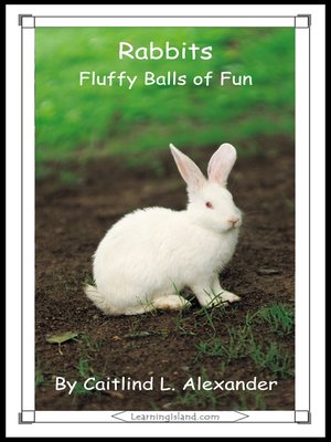 cover image of Rabbits